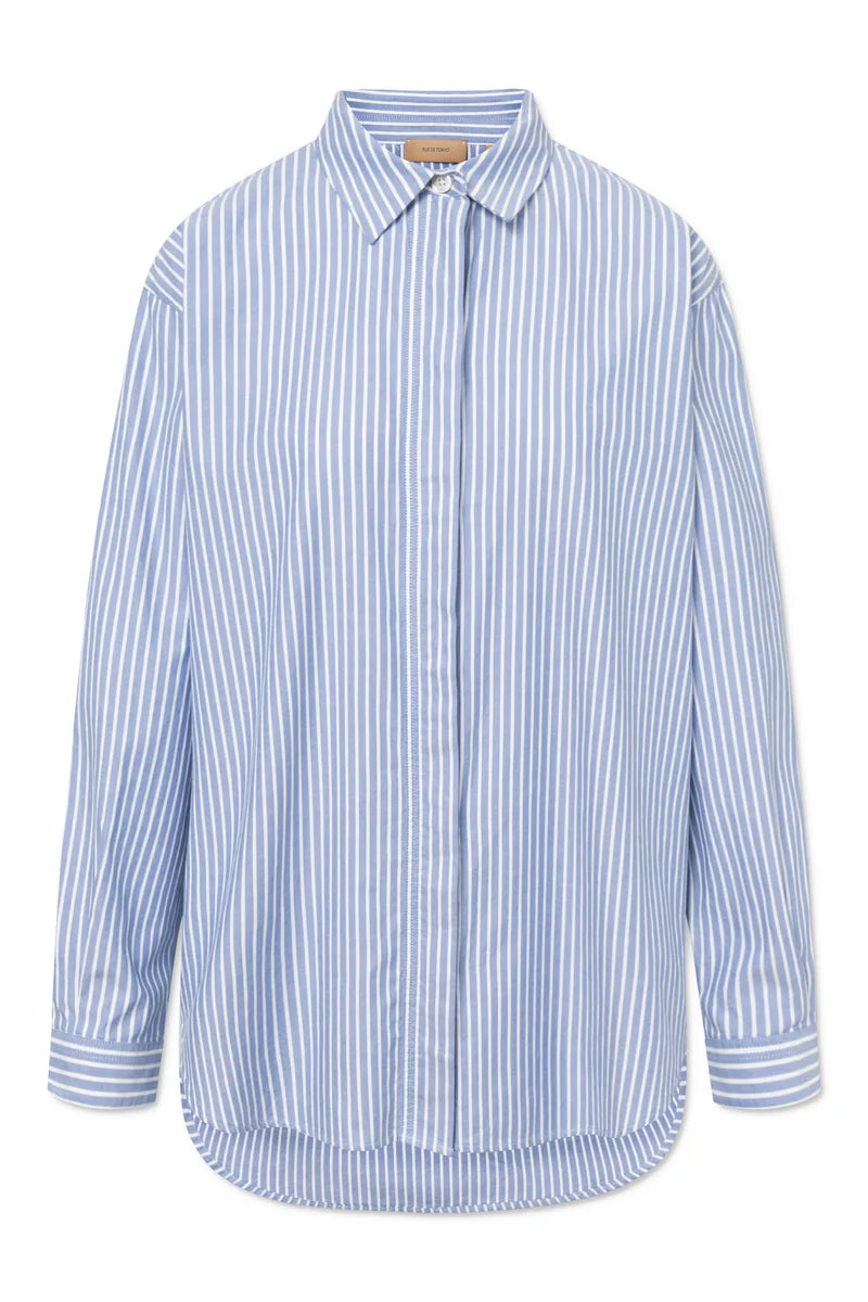 SHELBY STRIPE OXFORD