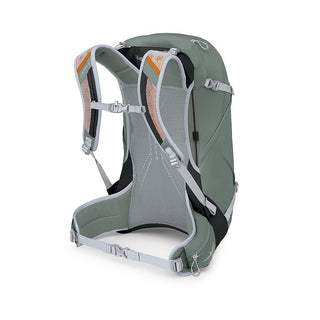 Pine Leaf Green hiking backpack with gray straps 